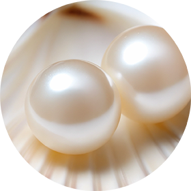 加水分解コンキオリン