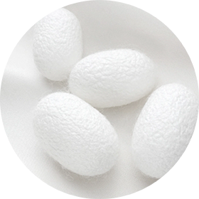 加水分解シルク